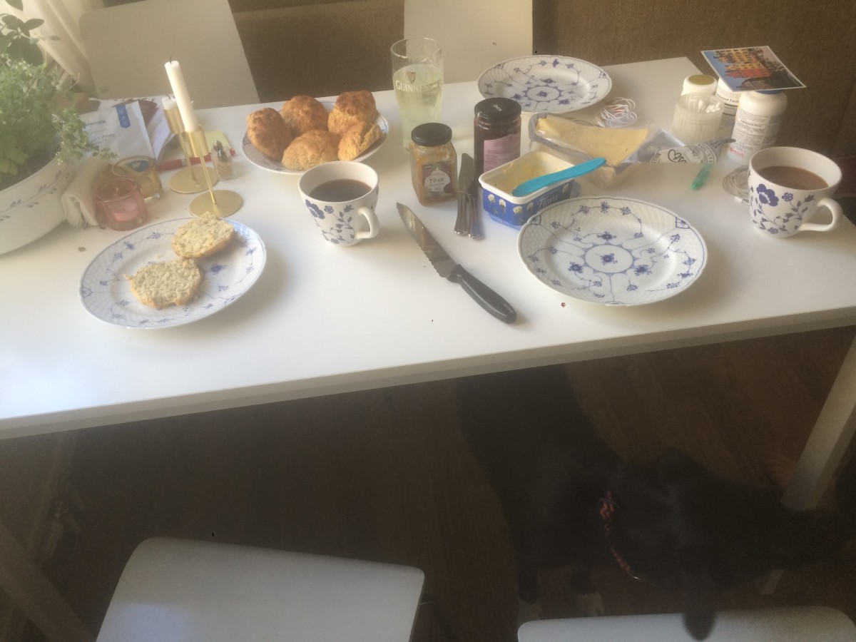 Swedish breakfast feat. Kiva the dog
